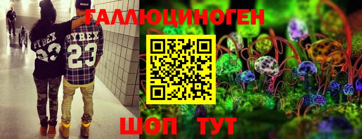 Галлюциногенные грибы прущие грибы Тосно